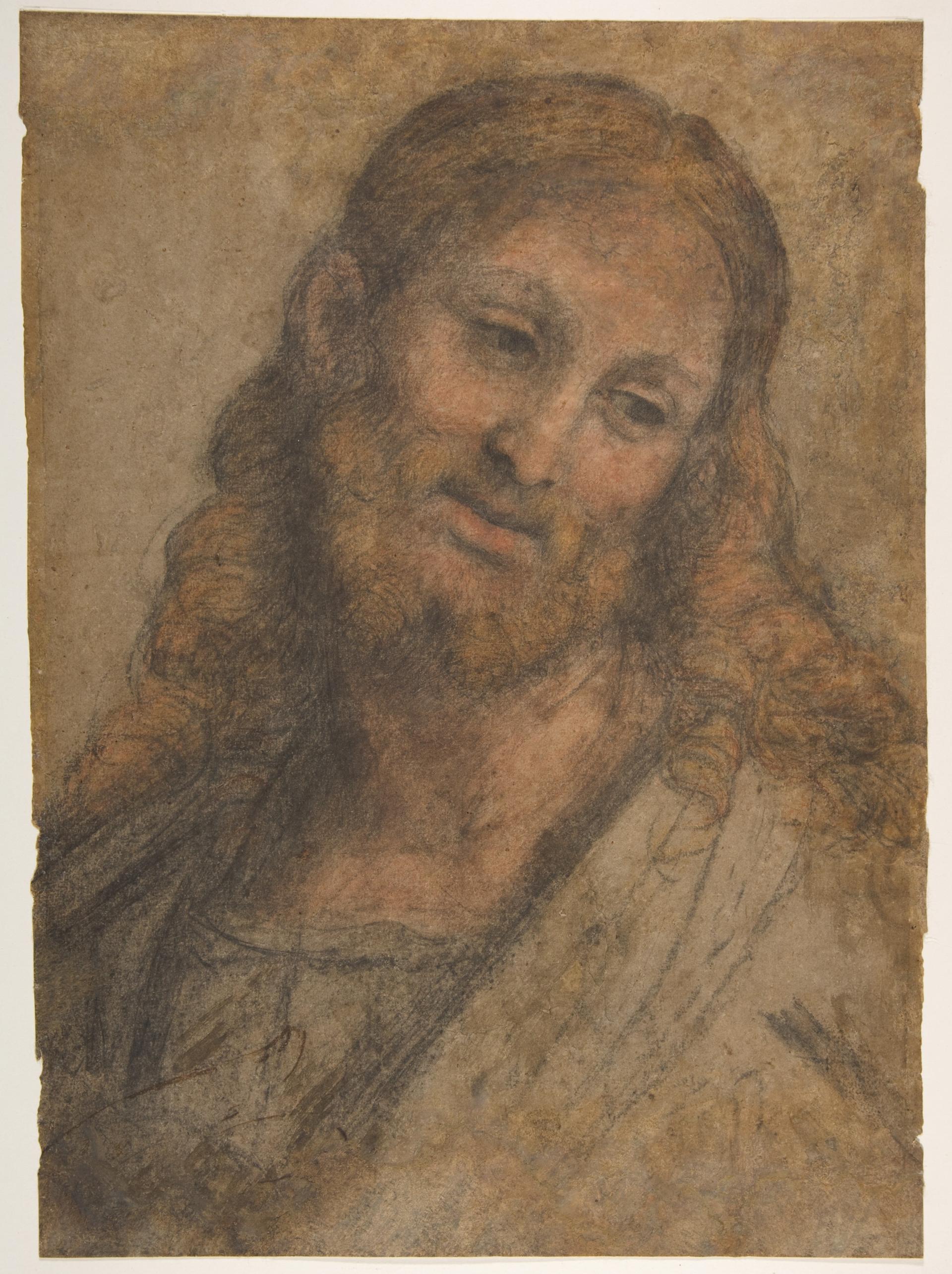 Bust of a Bearded Figure by Andrea Solario