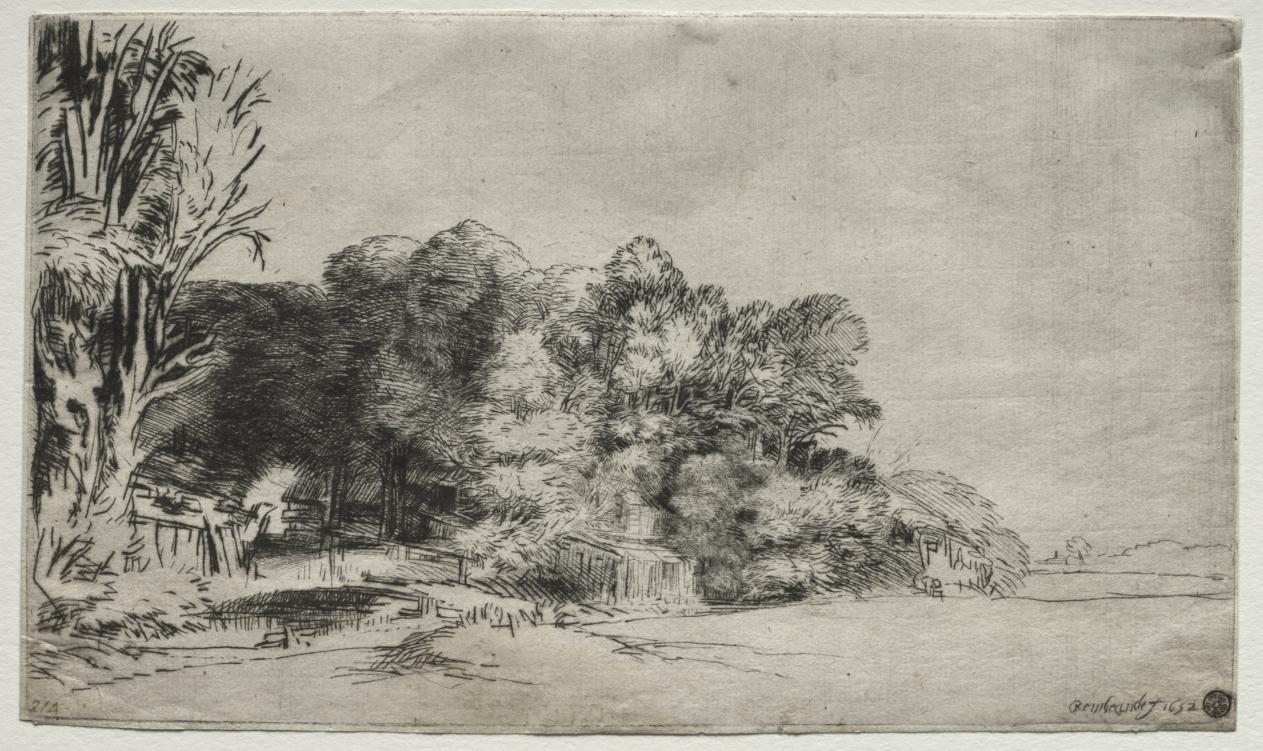 Clump of Trees with a Vista by Rembrandt van Rijn
