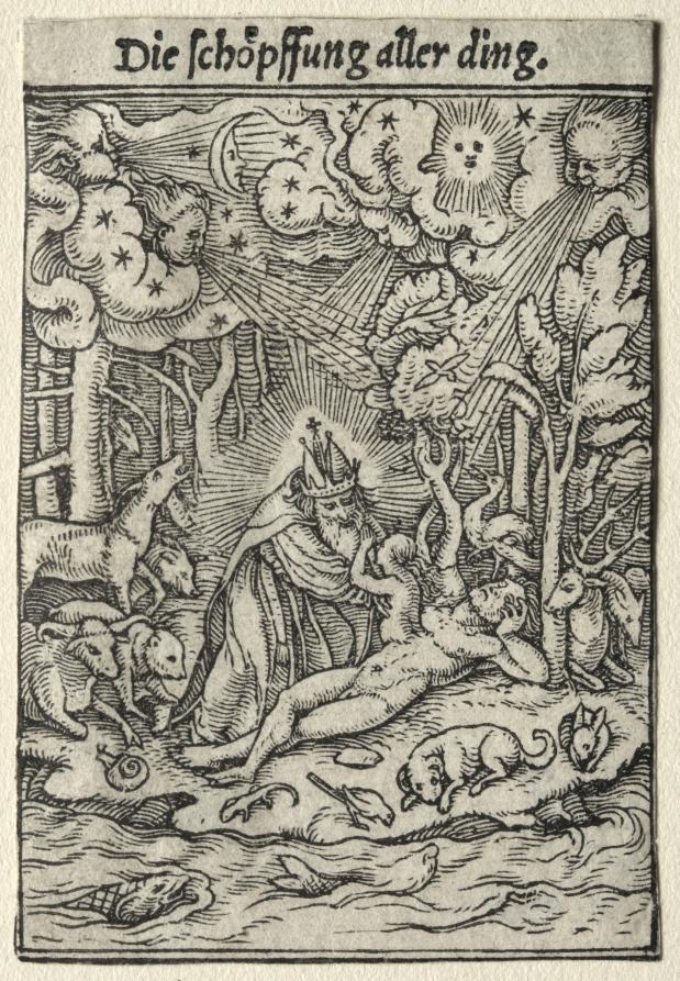 The Creation by Hans Holbein the Younger