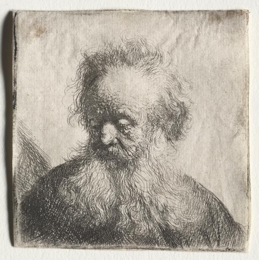 Old Man with a Flowing Beard: Bust by Rembrandt van Rijn