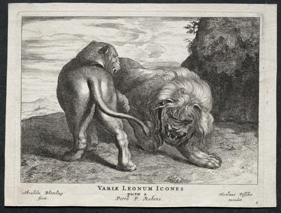 Various Lions by Abraham Blooteling