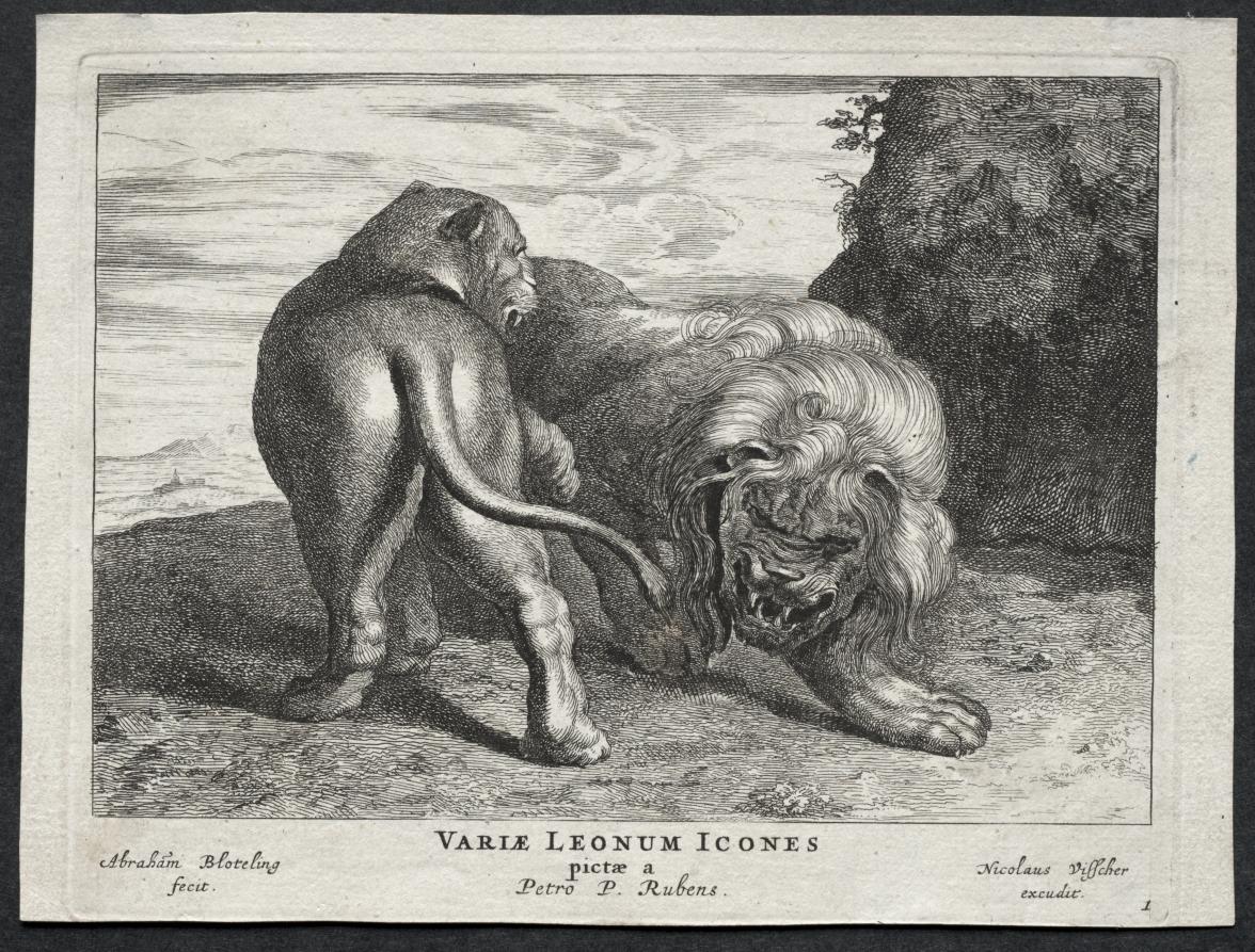 Various Lions by Abraham Blooteling