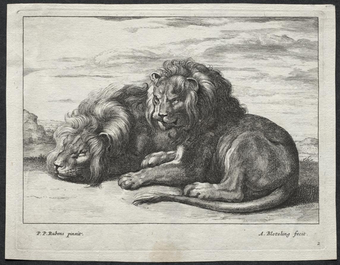 Various Lions