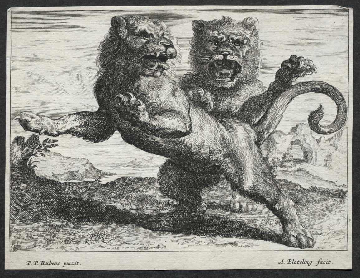 Various Lions